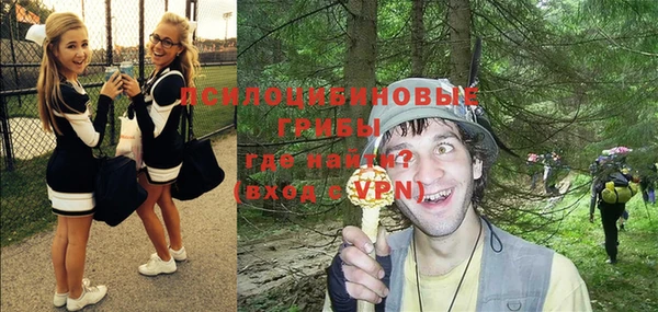spice Володарск