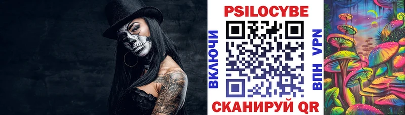 Псилоцибиновые грибы Psilocybe Купить закладки Грозный